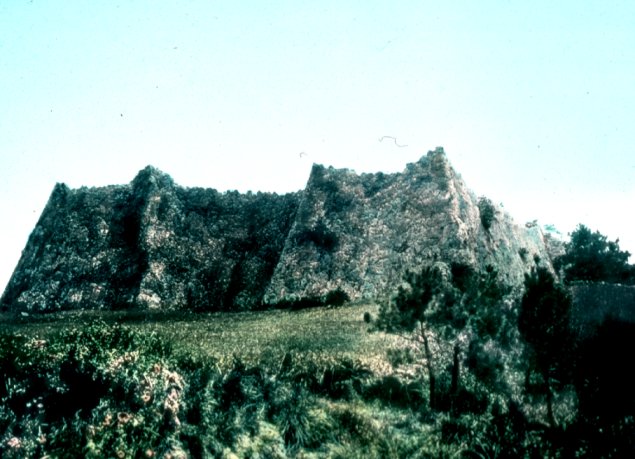 Nagushiku Castle