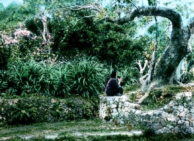 Woman worshiping under sacred Tree